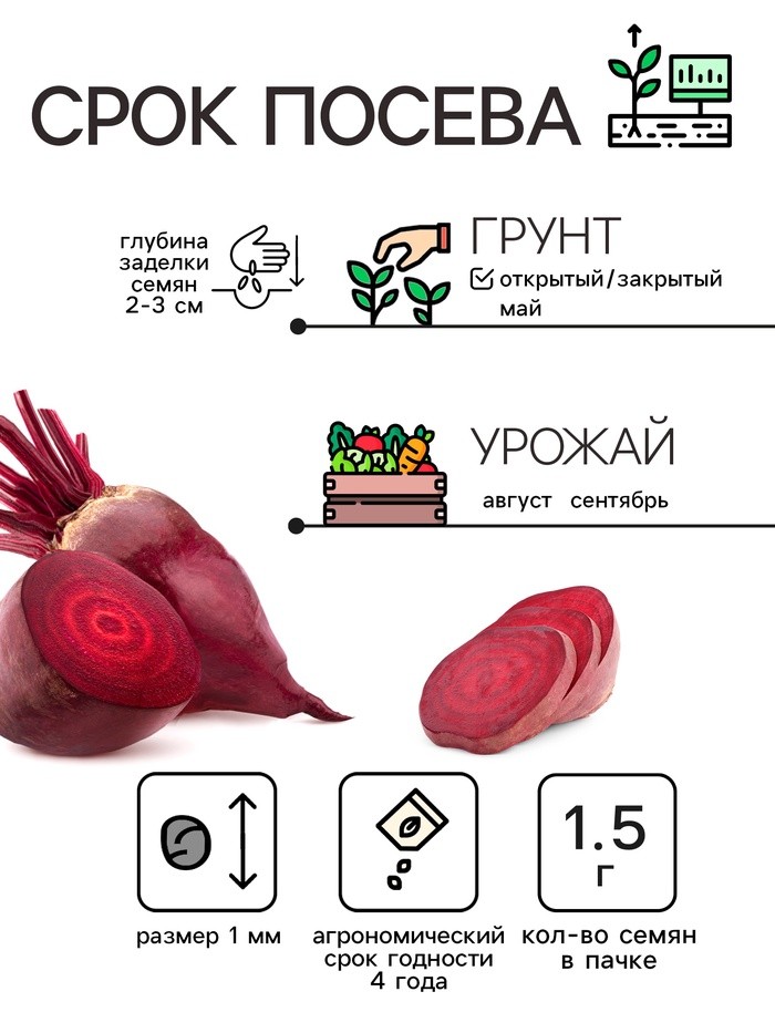 Семена Свекла столовая "Мона", 1,5 г