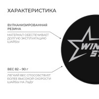 Шайба хоккейная Winter Star, детская, d=6 см