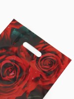 Пакет «Алые розы», полиэтиленовый с вырубной ручкой, 30×40 см, 50 мкм