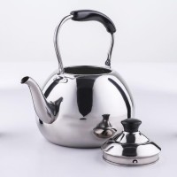 Чайник Orchid, 4 л, цвет серебряный