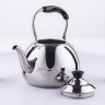 Чайник Orchid, 4 л, цвет серебряный