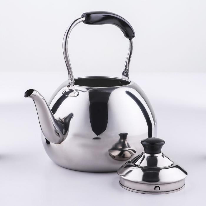 Чайник Orchid, 4 л, цвет серебряный