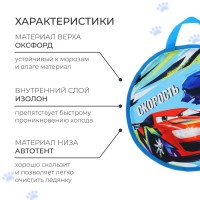 Ледянка Winter Star «Скорость», 35х35 см, толщина 1 см