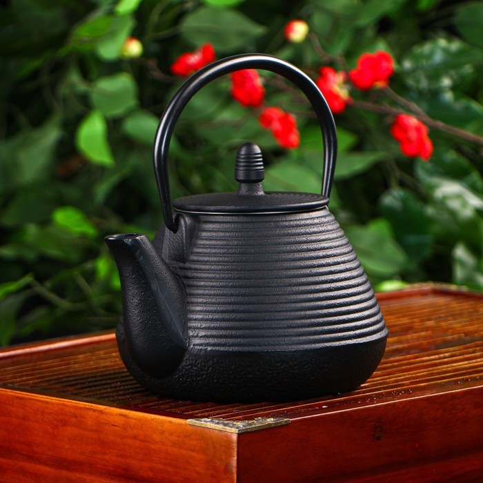 Чайник Доляна «Атьяф», 1 л, с ситом, цвет чёрный