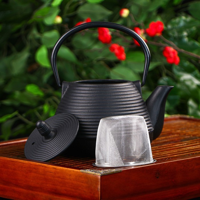 Чайник Доляна «Атьяф», 1 л, с ситом, цвет чёрный