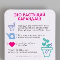 Растущий карандаш подарочный «Акация серебристая. С любовью», mini, простой чернографитный