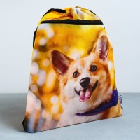 Мешок для обуви «Забавный корги» 2 секции, 41×31 см