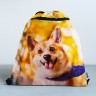 Мешок для обуви «Забавный корги» 2 секции, 41×31 см
