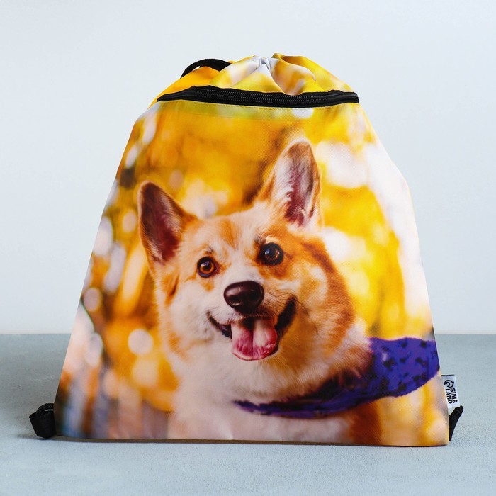 Мешок для обуви «Забавный корги» 2 секции, 41×31 см