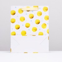 Пакет подарочный ламинированный, вертикальный упаковка, «Горох», белый, 26×32×12 см