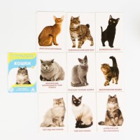 МИКС Обучающие карточки по методике Глена Домана «Расширяем кругозор», 10 штук, А6, 2+