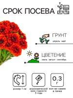 Семена цветов Календула махровая "Ред виз блэк центр", 0,3 г