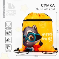 Мешок для обуви «Учусь на 5!» 2 секции, 41×31 см