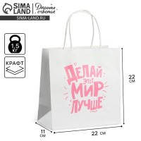 Пакет подарочный, упаковка, «Делай этот мир лучше», 22×22×11 см