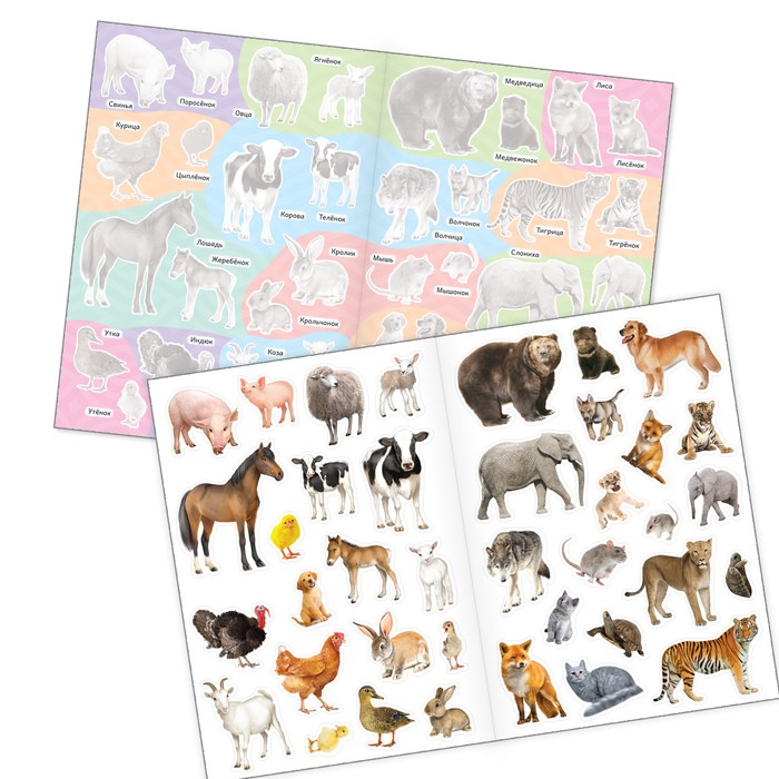 Наклейки многоразовые набор «Познавательные» №2, 3 шт., формат А4 Наклейки многоразовые набор «Познавательные» №2, 3 шт., формат А4