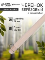 Черенок берёзовый, d=22 мм, длина 120 см, с еврорезьбой, высший сорт, Greengo
