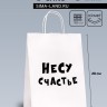 Пакет подарочный крафт «Несу счастье », 24×14×28 см