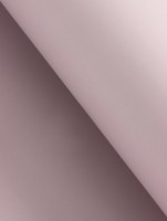 Пленка для цветов тонированная, матовая, пепельно-пудровый, 56×56 см, 70 мкм МИКС