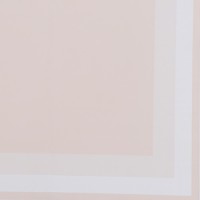 Плёнка в листах для цветов и букетов, розовый 58×58 см