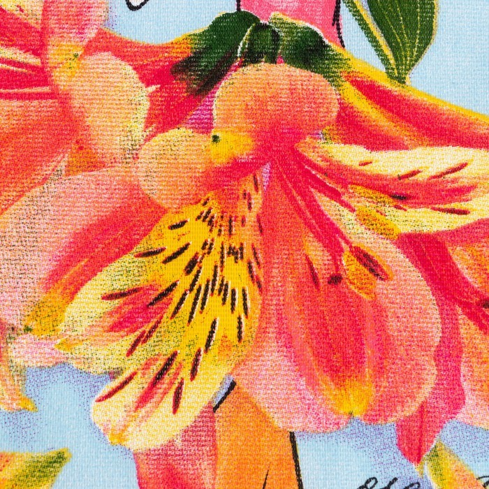 Набор кухонных полотенец «Доляна. Самая очаровательная», 2 шт., голубые, 35×60 см