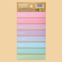 Наклейки-разделители «Мои заметки», 9 х 18 см