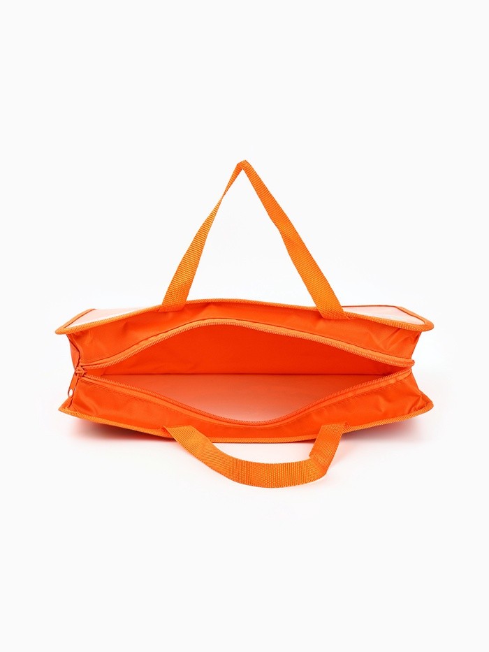 Папка для труда, А4, пластиковая, 33×26×7.5 см, Буки Бяки