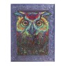 Алмазная мозаика с частичным заполнением и форменными стразами на раме «Сова», 30 х 40 см Алмазная мозаика с частичным заполнением и форменными стразами на раме «Сова», 30 х 40 см