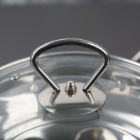 Пароварка-яйцеварка «Вейлер», 18×22 см, стеклянная крышка, цвет хромированный