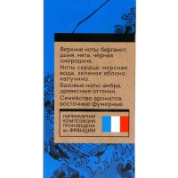 Туалетная вода мужская Vegan Man Studio Deep Blue, 100 мл