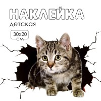 Наклейка 3Д интерьерная Котик 30*20см