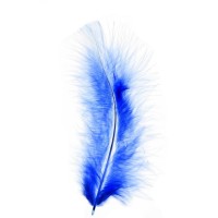 Набор перьев для декора, набор 10 шт., размер 1 шт: 10×2 см, цвета МИКС