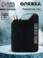 Фляжка для алкоголя forever young, нержавеющая сталь, 120 мл