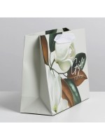 Пакет подарочный ламинированный, упаковка, «Подарок» 22×17.5×8 см