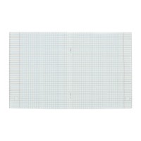 Комплект тетрадей из 5 штук, 48 листов в клетку Calligrata "Дерзкий енот", обложка мелованный картон, блок офсет