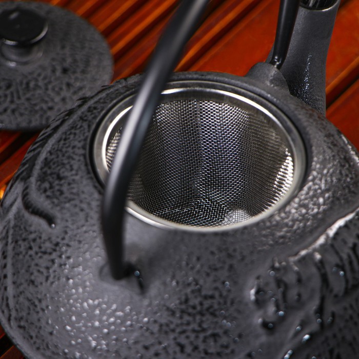 Чайник Доляна «Чёрный тигр», 700 мл, с ситом, эмалированное покрытие внутри, цвет чёрный