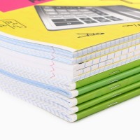 Тетради предметные, 48 л., набор из 10 шт., блок №1, уф лак, матовая ламинация «Яркий»