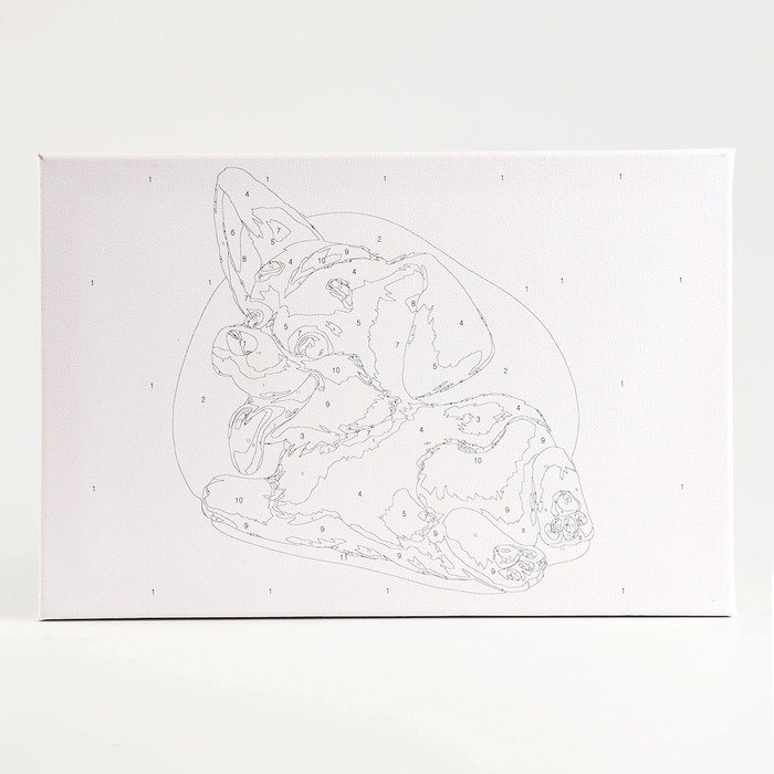 Картина по номерам на холсте с подрамником «Малыш Корги» 20х30 см