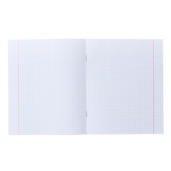 Набор тетрадей 48 листов в клетку, Calligrata «В розовых очках», обложка мелованная бумага, серые листы, 5 шт.