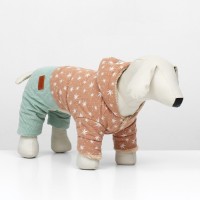 Комбинезон «Прогулка», размер S (ДС 24, ОГ 38, ОШ 27 см, до 4 кг), бежевый/мятный