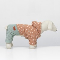 Комбинезон «Прогулка», размер S (ДС 24, ОГ 38, ОШ 27 см, до 4 кг), бежевый/мятный