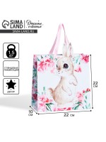 Пакет подарочный «Кролик», объёмная деталь, 22×22×10 см