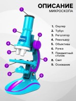 Микроскоп «Юный биолог», кратность увеличения 450х, 200х, 100х, с подсветкой