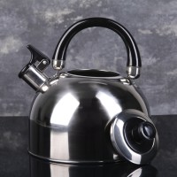 Чайник со свистком Доляна «Чёрная ночь», 2 л