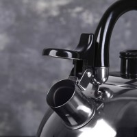 Чайник со свистком Доляна «Чёрная ночь», 2 л