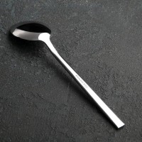 Ложка столовая «Тайфун», h=19 см, цвет серебряный