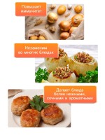 Семена Лук репчатый "Халцедон", 0,5 г