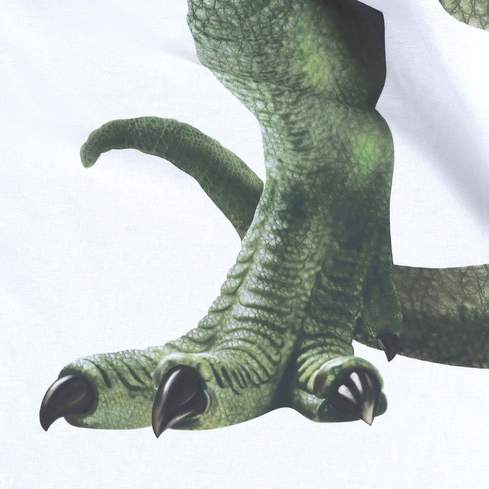 Постельное бельё "Этель" 1,5 сп Green Dino (вид 3) 143х215см, 150х214см, 50х70см1 шт, 100% хл, бязь