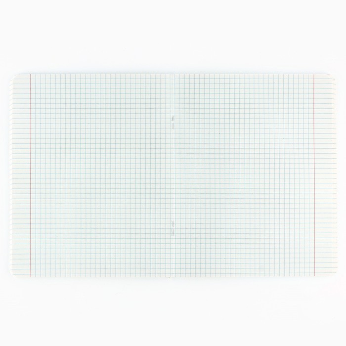 Тетрадь в клетку, 48 л., А5, на скрепке, блок №2 «Типичный ученик», твин лак, уф лак, МИКС