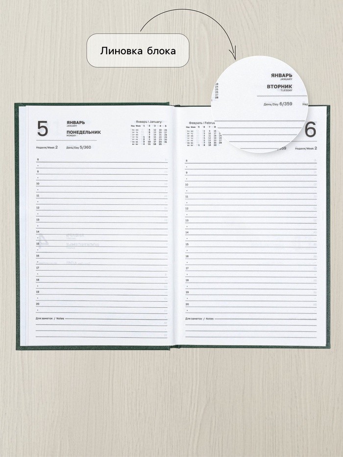 Ежедневник датированный Calligrata, А5, 2026, твёрдая обложка из бумвинила, 168 листов, тёмно-зелёный