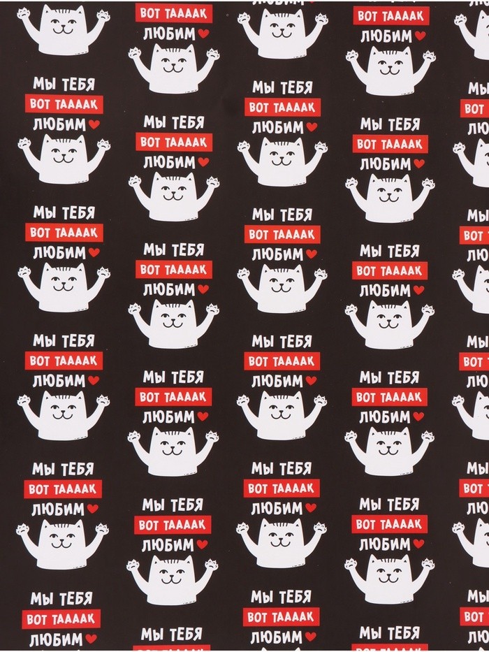 Бумага упаковочная глянцевая «Мы тебя любим», 50×70 см